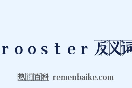 rooster反义词是什么意思的图片